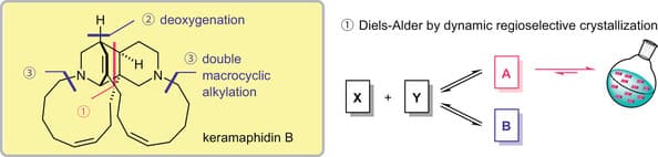 Total Synthesis of Keramaphidin B and Ingenamine