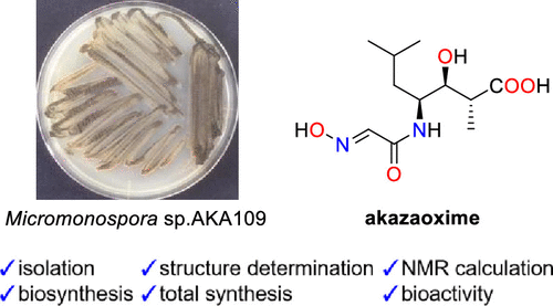 acs.joc.1c00358.gif