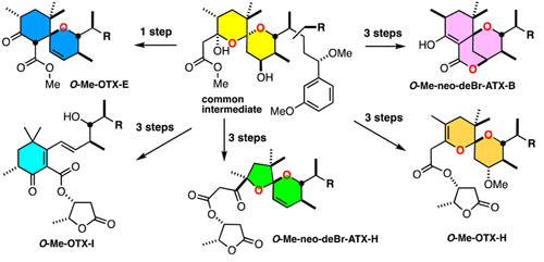 acs.joc.2c02204.gif