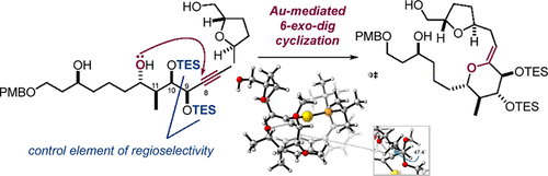 acs.joc.4c00633.gif