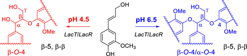 acsomega.2c00144.gif