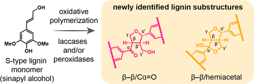 acssuschemeng.2c03861.gif